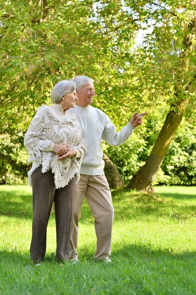 Schattig bejaarde echtpaar ging in het park — Stockfoto