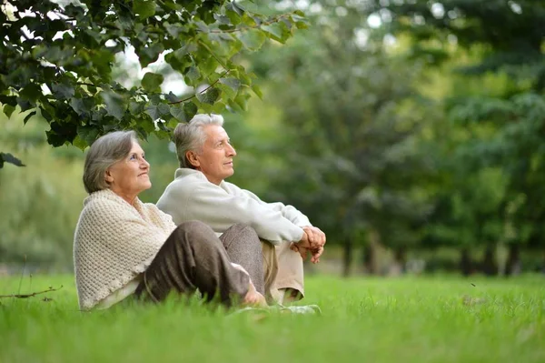 Älteres Ehepaar im Park — Stockfoto