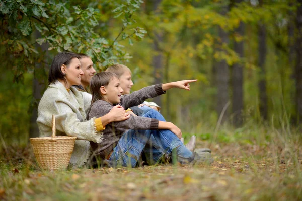 Dört Park aile — Stok fotoğraf