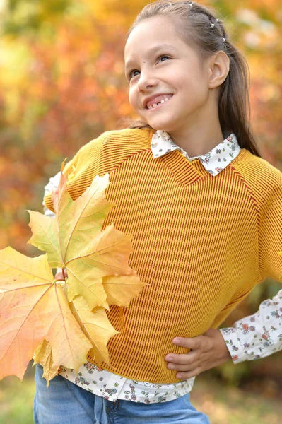 Chica sonriendo en el parque otoñal — Foto de Stock