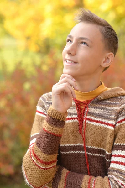Portrait Happy Boy Autumn Park — Stock Photo, Image