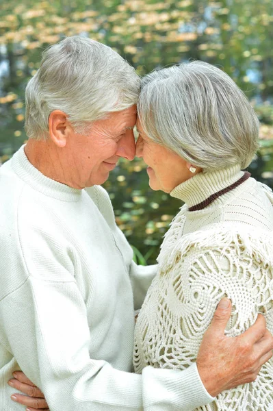 Bejaarde echtpaar in bos — Stockfoto