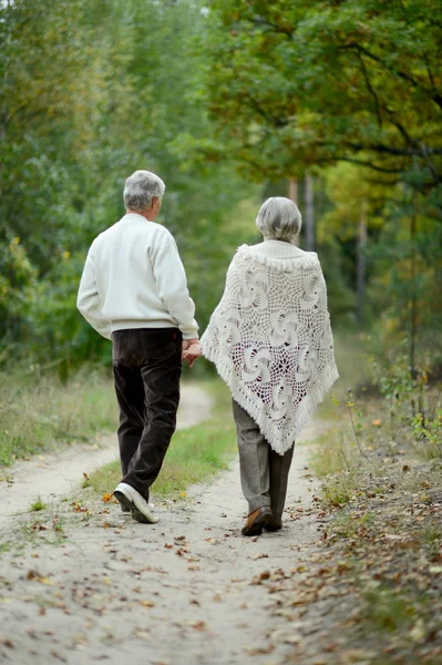 Old couple at park — Stock Photo, Image