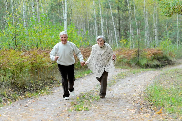 Vecchia coppia al parco — Foto Stock