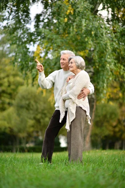 Senior pair in park — Stock Photo, Image