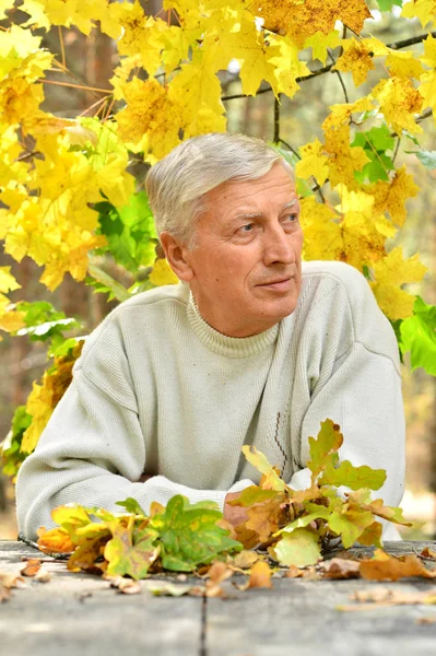 Starší muž na podzim — Stock fotografie