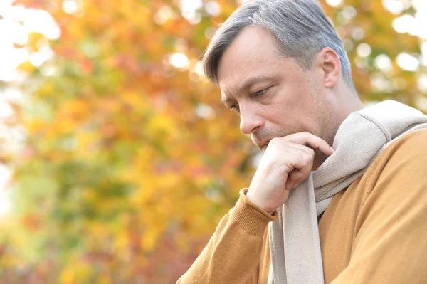 Retrato Belo Homem Confiante Posando Folhas Outono Fundo — Fotografia de Stock