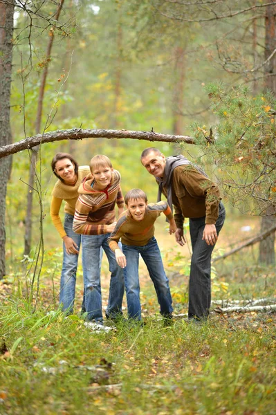 Familie van vier in park — Stockfoto
