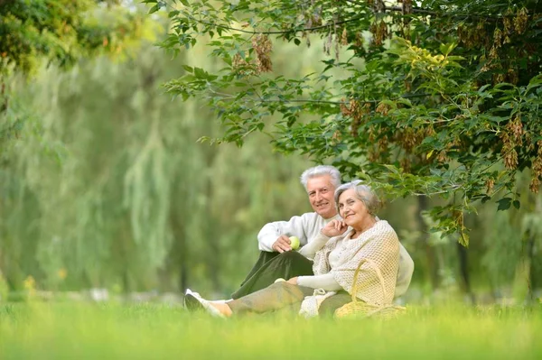 Coppia anziana nel parco — Foto Stock