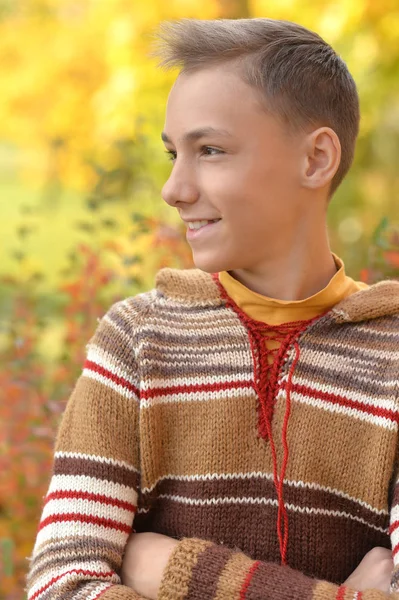 Portrét Happy Boy Podzimním Parku — Stock fotografie