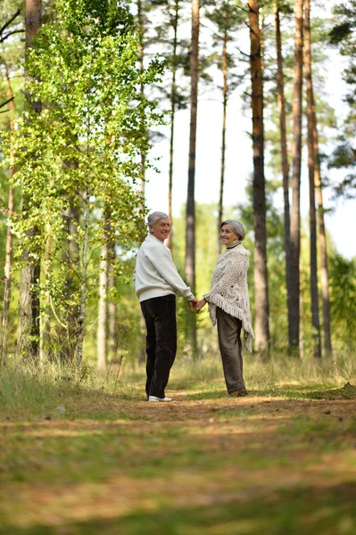 Old couple at park — Stock Photo, Image