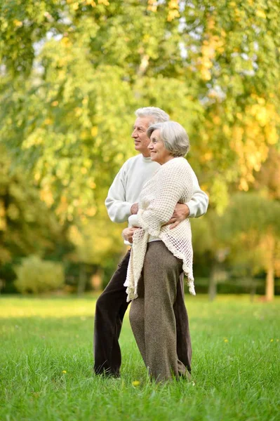 Seniorenpaar im Park — Stockfoto