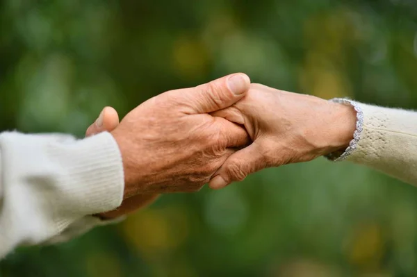 Hands held together — Stock Photo, Image