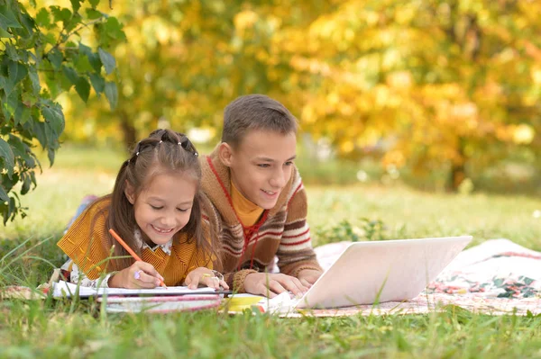 Bambina Disegno Utilizzando Computer Portatile Con Fratello All Aperto — Foto Stock