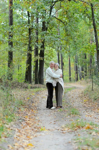 Old couple at park — Stock Photo, Image