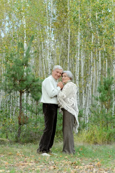 Vecchia coppia al parco — Foto Stock