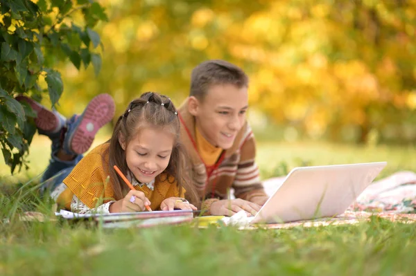 Liten Flicka Ritning Och Använda Laptop Med Hennes Bror Utomhus — Stockfoto