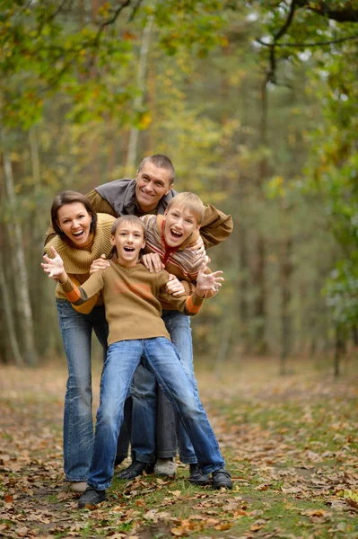 Familie van vier in park — Stockfoto