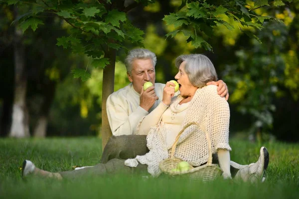 Coppia anziana nel parco — Foto Stock