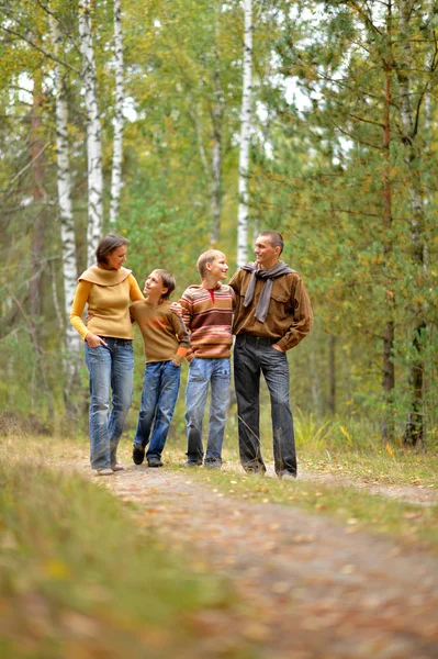공원에 4 가족 — 스톡 사진