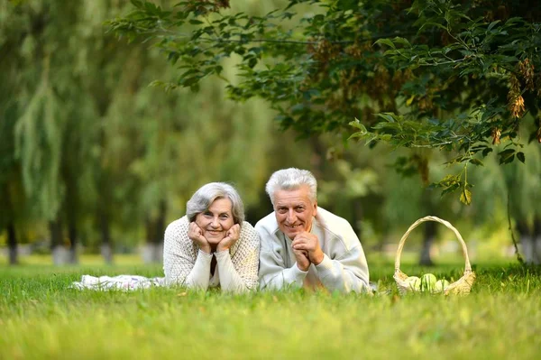 Park yerinde yaşlı bir çift — Stok fotoğraf