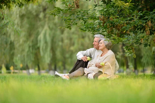 Äldre par i parken — Stockfoto