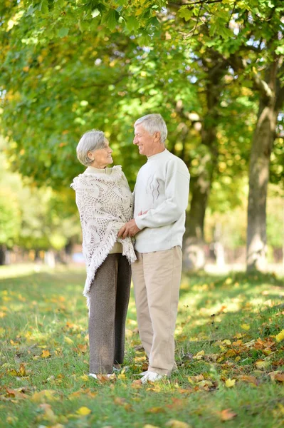 Adorable elderly couple went in the park — Stock Photo, Image