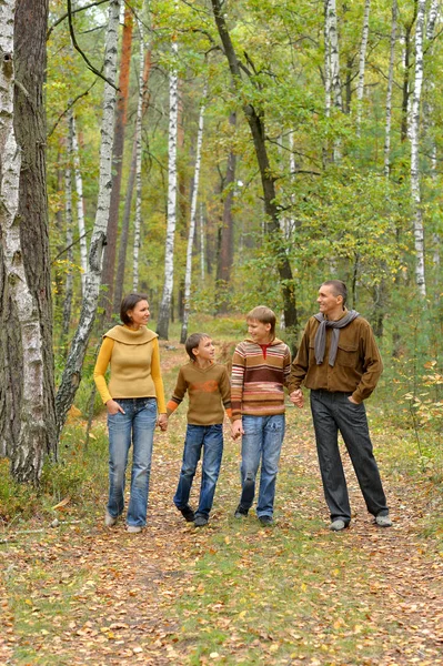公園で 4 つの家族 — ストック写真