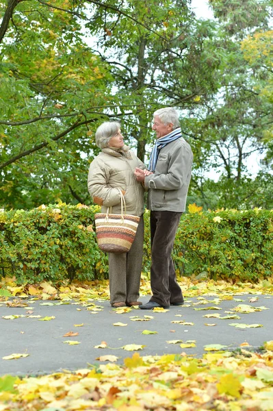 Heureux Couple Aîné Dans Parc Automne — Photo