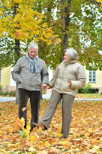 Šťastný Pár Senior Podzimním Parku Baví — Stock fotografie