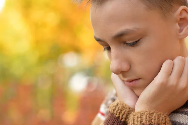 秋天公园里一个悲伤的小男孩的画像 — 图库照片