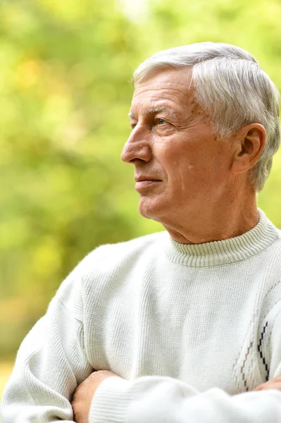 Portrait Thoughtful Senior Man Outdoors — Stock Photo, Image