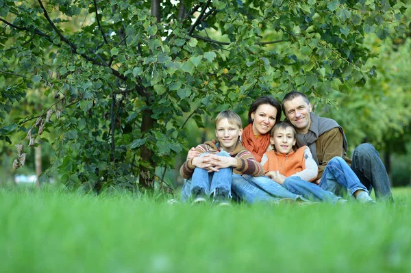 Famille Quatre Posant Assis Sur Herbe — Photo