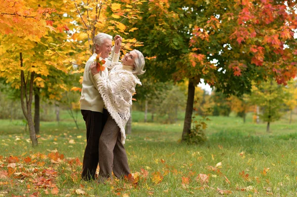 Casal sênior dançando no parque — Fotografia de Stock