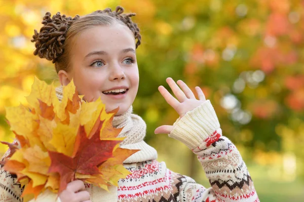 Portrét Hezká Holčička Podzimní Park — Stock fotografie