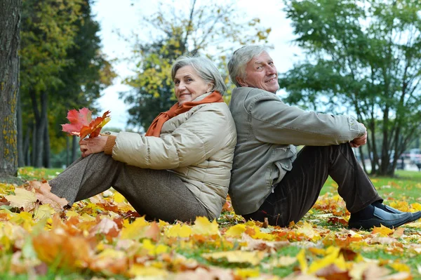 Gelukkige Senior Paar Zitten Herfst Park — Stockfoto