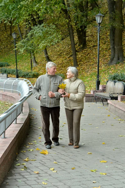 快乐的老夫妇在公园里散步 — 图库照片