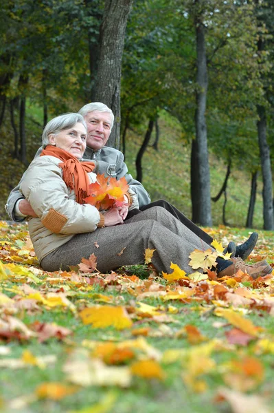 Happy Senior Couple Sitting Autumn Park — Stock Photo, Image