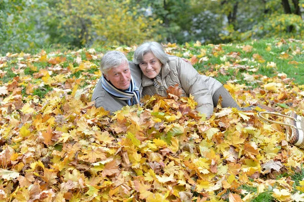 Glückliches Senioren Paar Liegt Park — Stockfoto