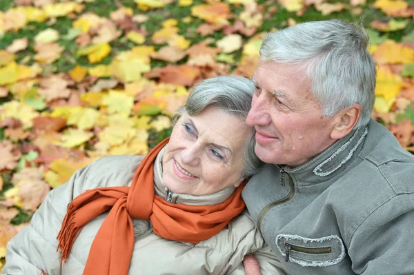 Happy Senior Couple Sitting Autumn Park — Stock Photo, Image