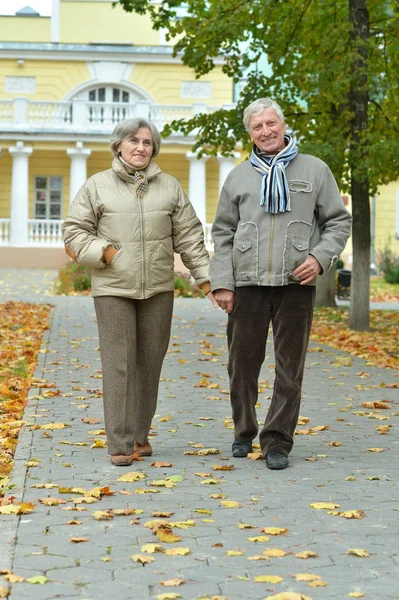 Happy Senior Couple Walking Autumn Park — Stock Photo, Image