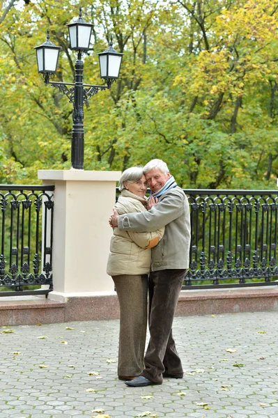 Feliz Casal Sênior Abraçando Parque Outono — Fotografia de Stock