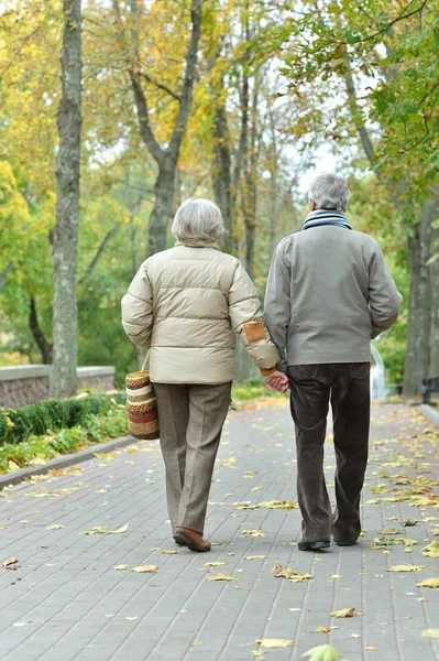 Casal Sênior Feliz Parque Outono Andando — Fotografia de Stock