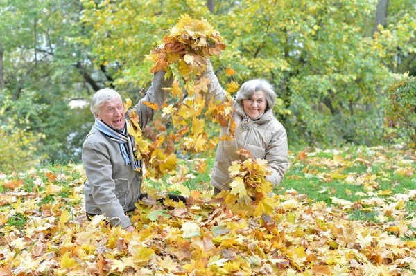 Happy Senior Couple Having Fun Park — Stock Photo, Image