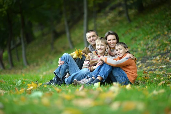 Familie Til Fire Siddende Parken Efteråret - Stock-foto