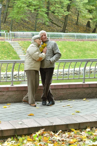 幸せな先輩カップル公園でポーズをとる — ストック写真