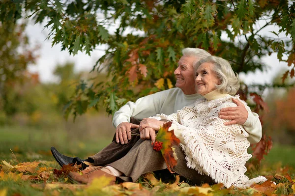 Feliz casal maduro — Fotografia de Stock