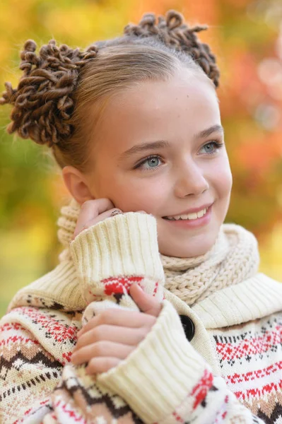 Porträt Eines Hübschen Kleinen Mädchens Das Herbstlichen Park Posiert — Stockfoto