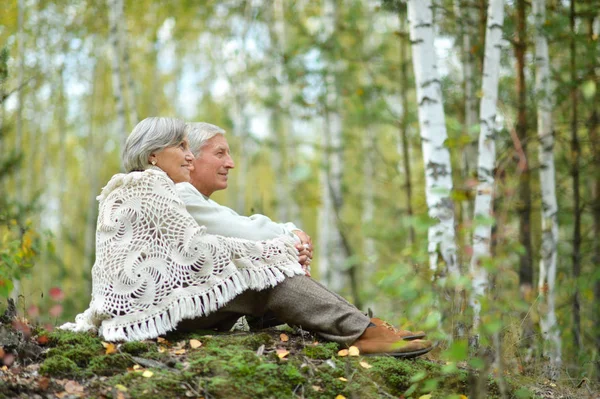 Heureux Couple Personnes Âgées Assis Dans Parc Automne — Photo