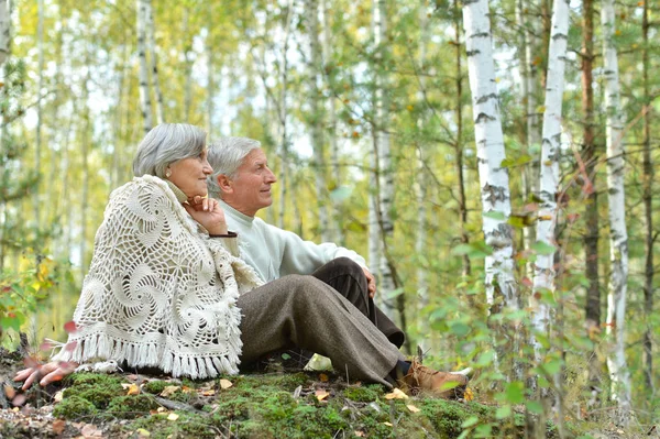 Feliz Casal Sênior Sentado Parque Outono — Fotografia de Stock